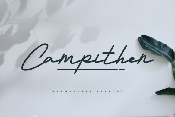 Campithen in Practice: A Designer’s Honest Review