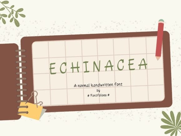 Echinacea: A Font That Brings Personality to Your Editorial Layouts