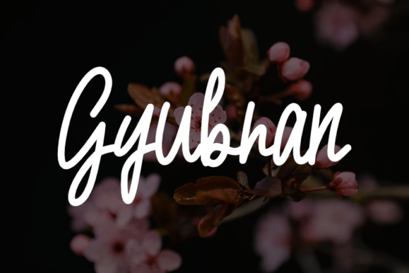 Gyubran: The Font That Sharpens Your Campaign Message