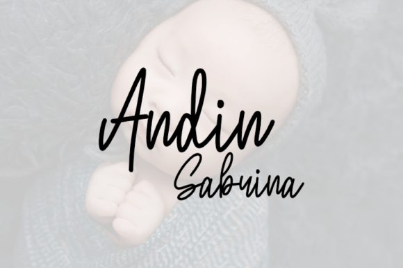 How the Andin Sabrina Font Built a More Elegant Website