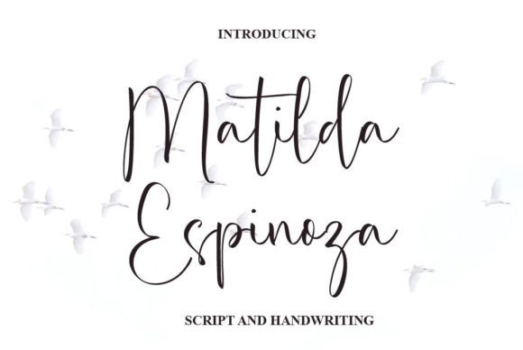 Matilda Espinoza: A Digital Designer's Dream Font
