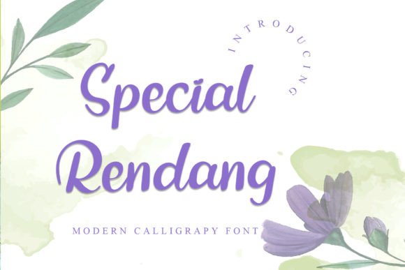 Special Rendang: A Handwritten Script Font for Modern Branding