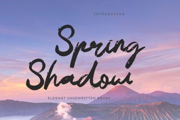Spring Shadow: A Designer's Practical Review